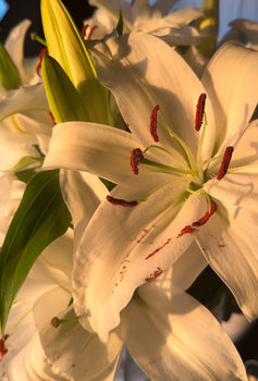 Getting Off Birth Control